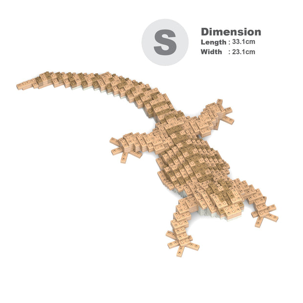 Bearded Dragon