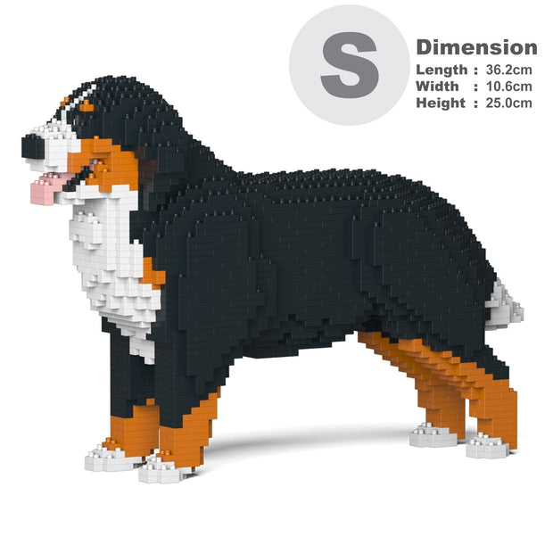 Bernese Mountain Dog