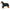 Bernese Mountain Dog