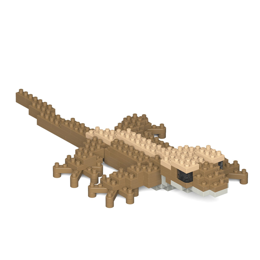 Crested Gecko
