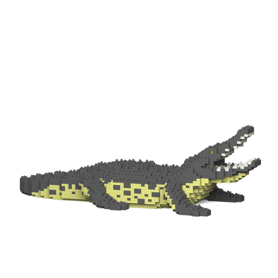 Crocodile