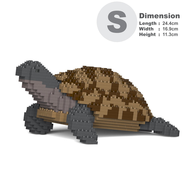Greek Tortoise
