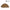 Indian Star Tortoise