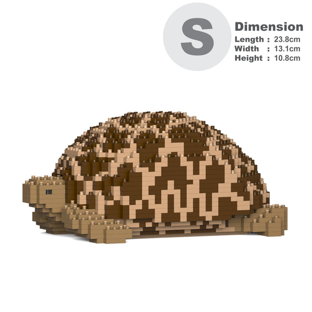 Indian Star Tortoise