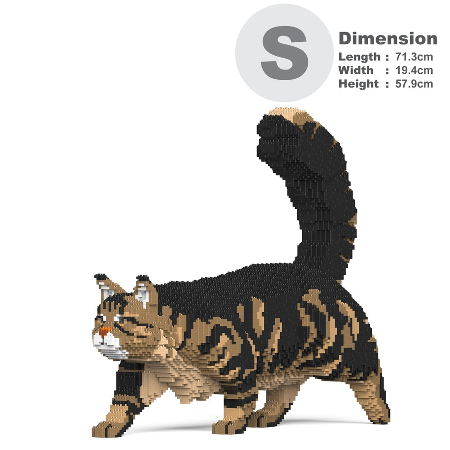 Maine Coon