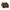Wombat