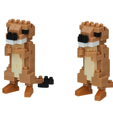 Prairie Dogs