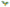Macaw (Blue & Yellow)