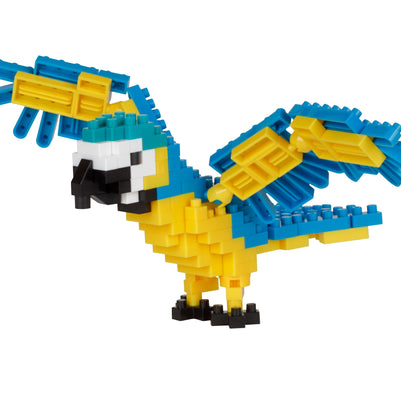 Macaw (Blue & Yellow)