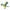 Macaw (Blue & Yellow)