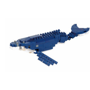 Humpback Whale