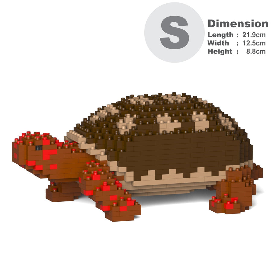 Red-footed Tortoise