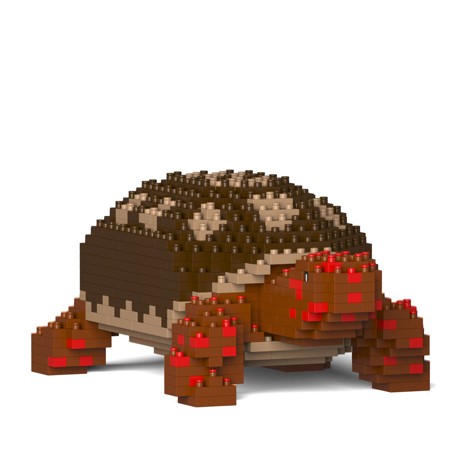 Red-footed Tortoise