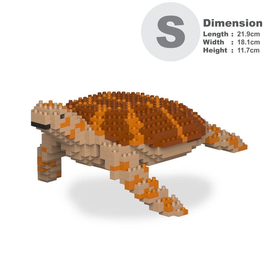 Sea Turtle