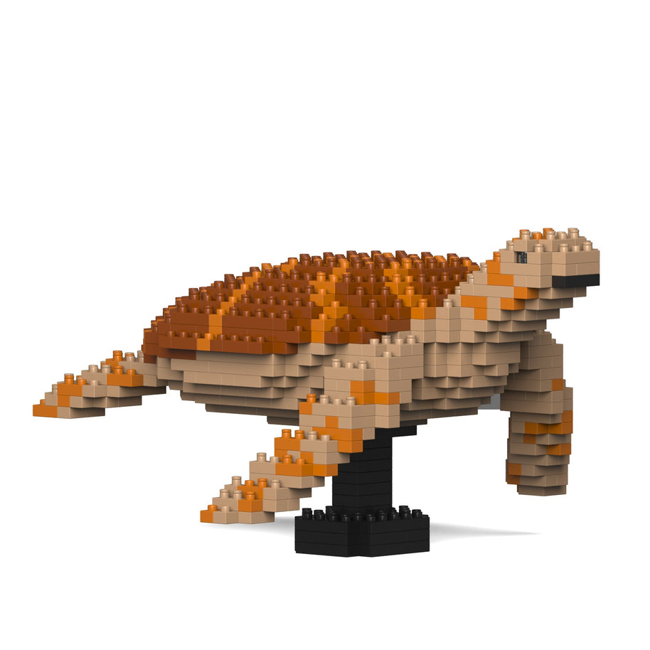Sea Turtle