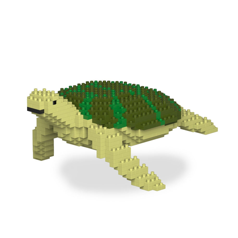 Sea Turtle
