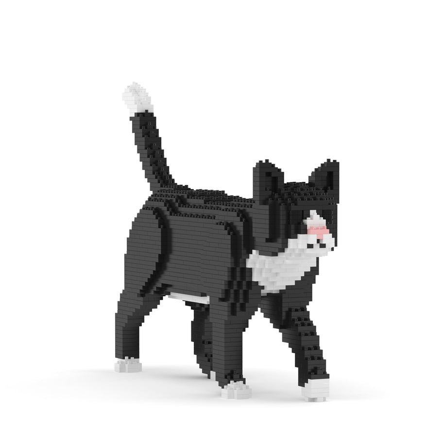 Tuxedo Cat