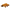 Platypus